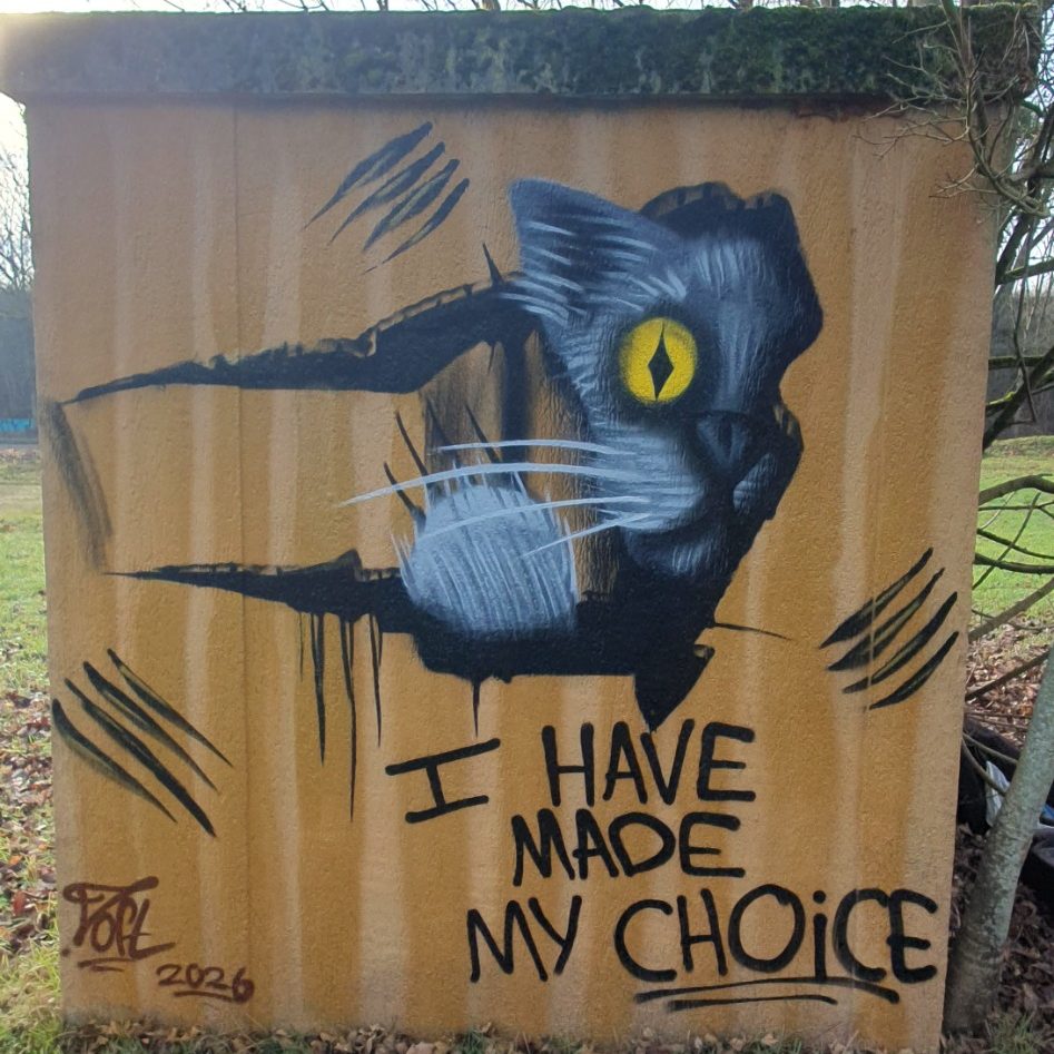 A l'abrit de l'agitation et du bruit de la foule ce chat fais de ce carton son refuge