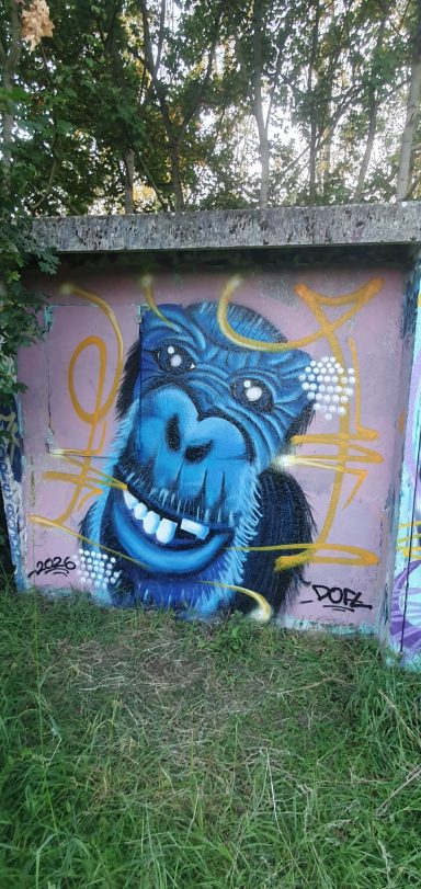 Je continue à travailler la fourrure et les poils. Une peinture inspirée d'une photo fisheye d'un singe.